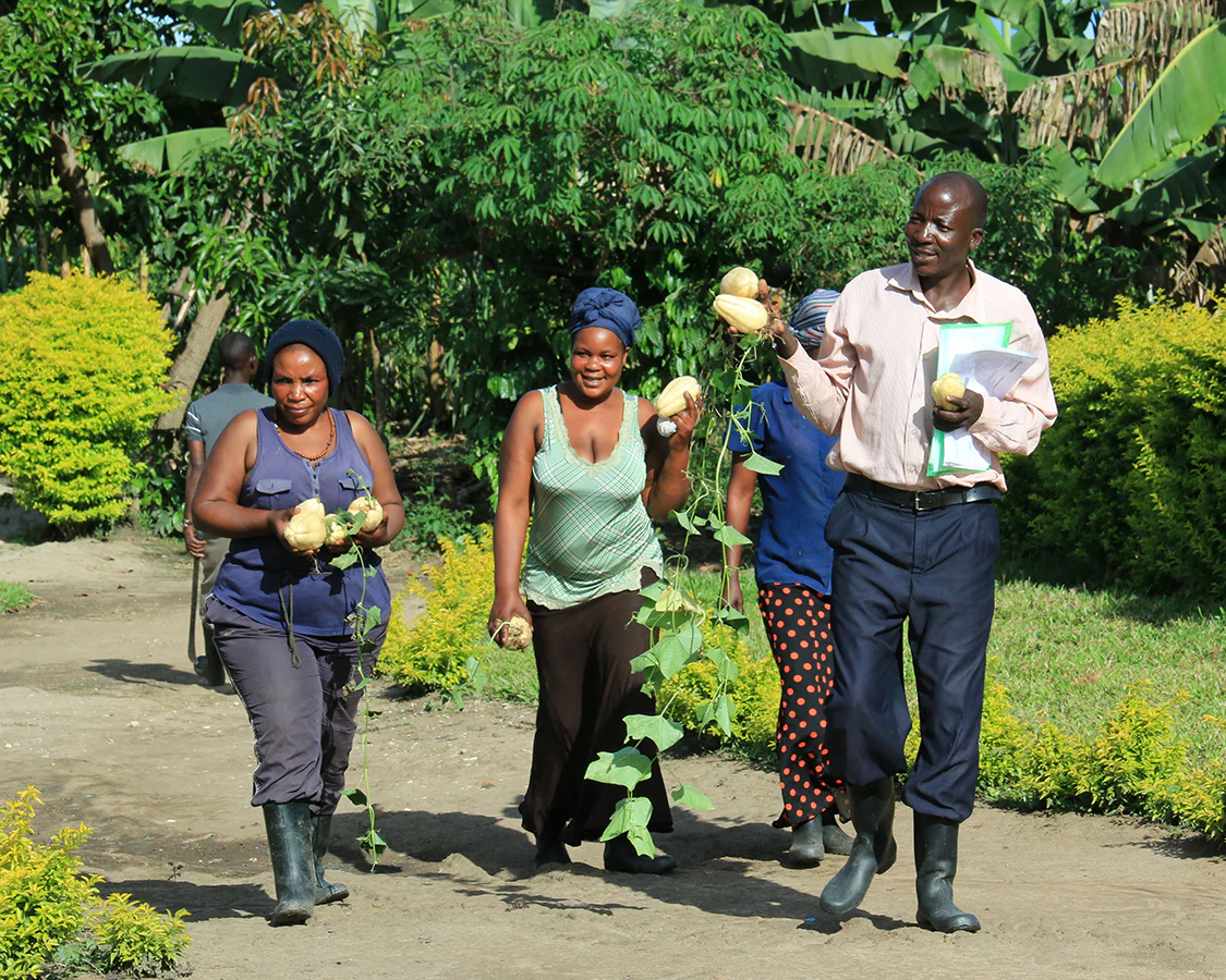 Permaculture garden in Uganda