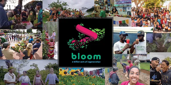 Diverse people engaged in regenerative activities and community projects