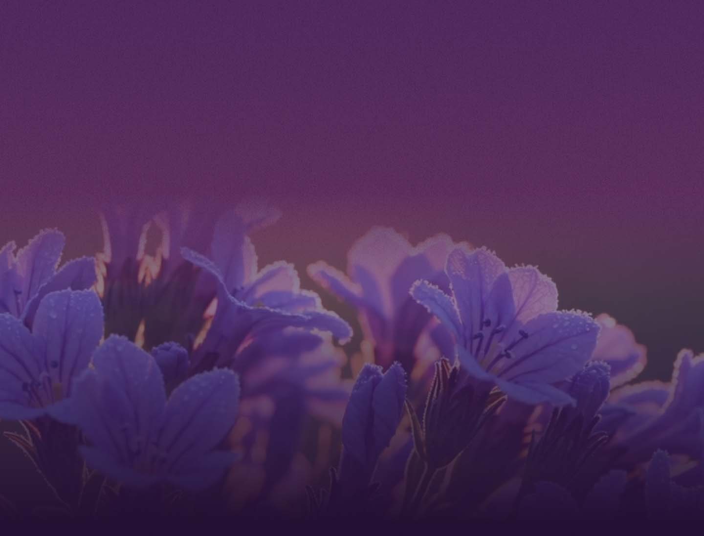 Flower background