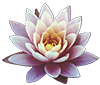 Flower icon