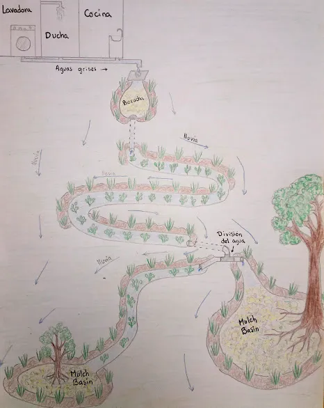 Hand-drawn plan of a greywater system: water from the washing machine, shower, and kitchen passes through a borucha filter, flows along a planted channel, then splits to mulch basins around trees. Rain runoff feeds the channel.