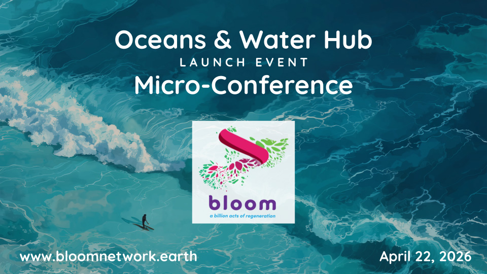 Featured video: Bloom Network Oceans & Water Hub Launch